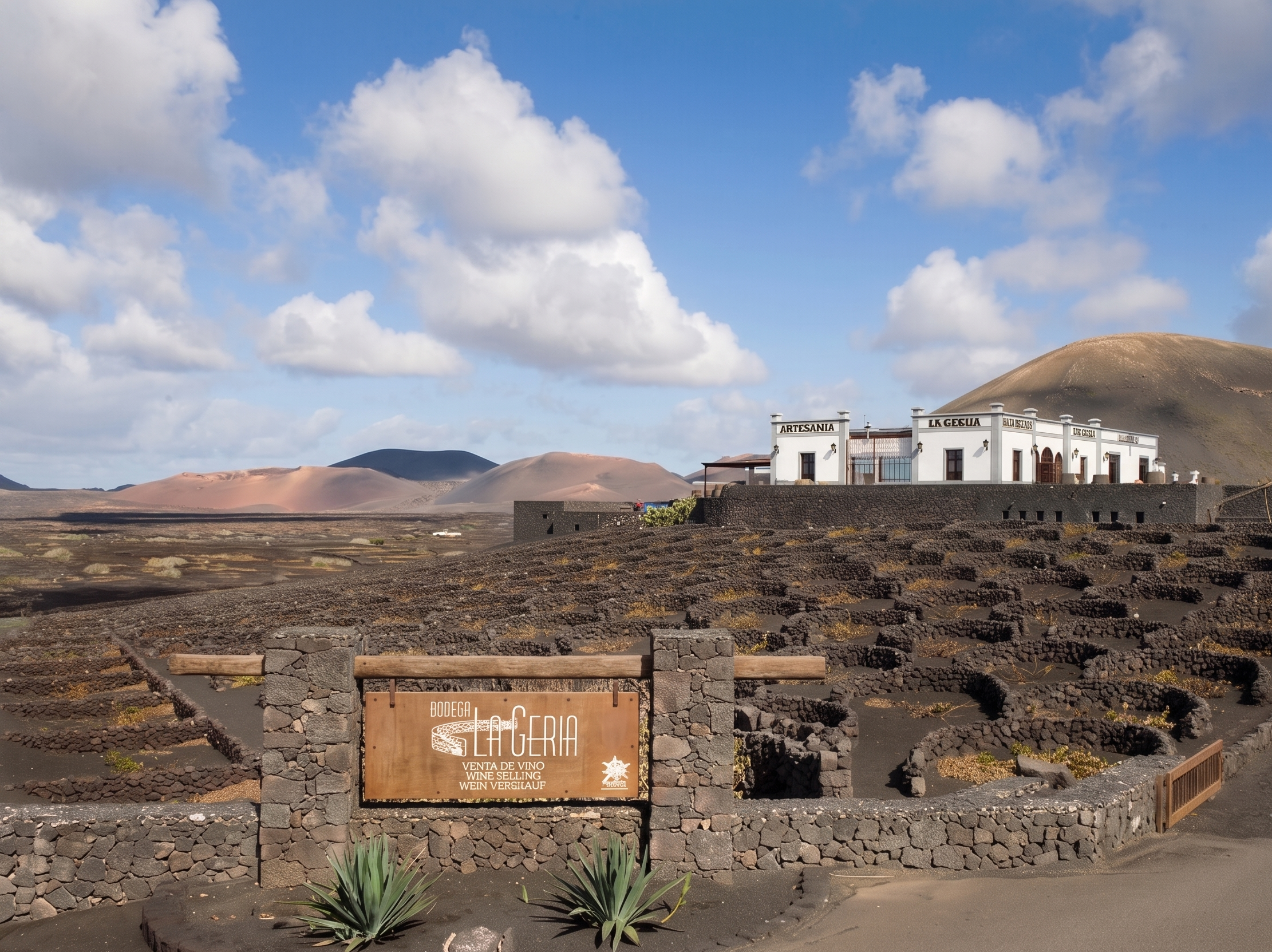 Bodega La Geria